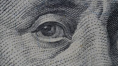 financial governance for success