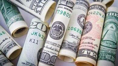 profitable financial systems development
