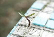 resilient financial frameworks development