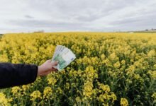 sustainable financial business strategies