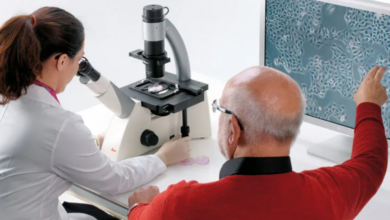 The Unseen Guardian: Why Cryopreservation Media is Critical for Cell Line Longevity